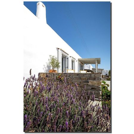Exochi Traditional Houses Krotiri Room photo