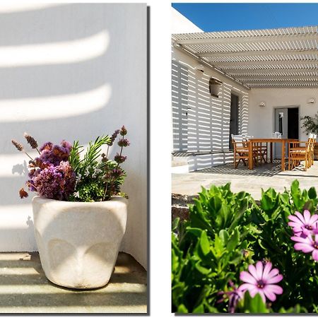Exochi Traditional Houses Krotiri Room photo