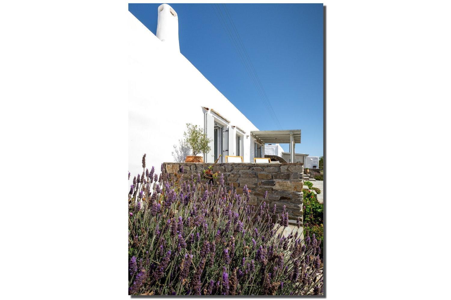 Exochi Traditional Houses Krotiri Room photo